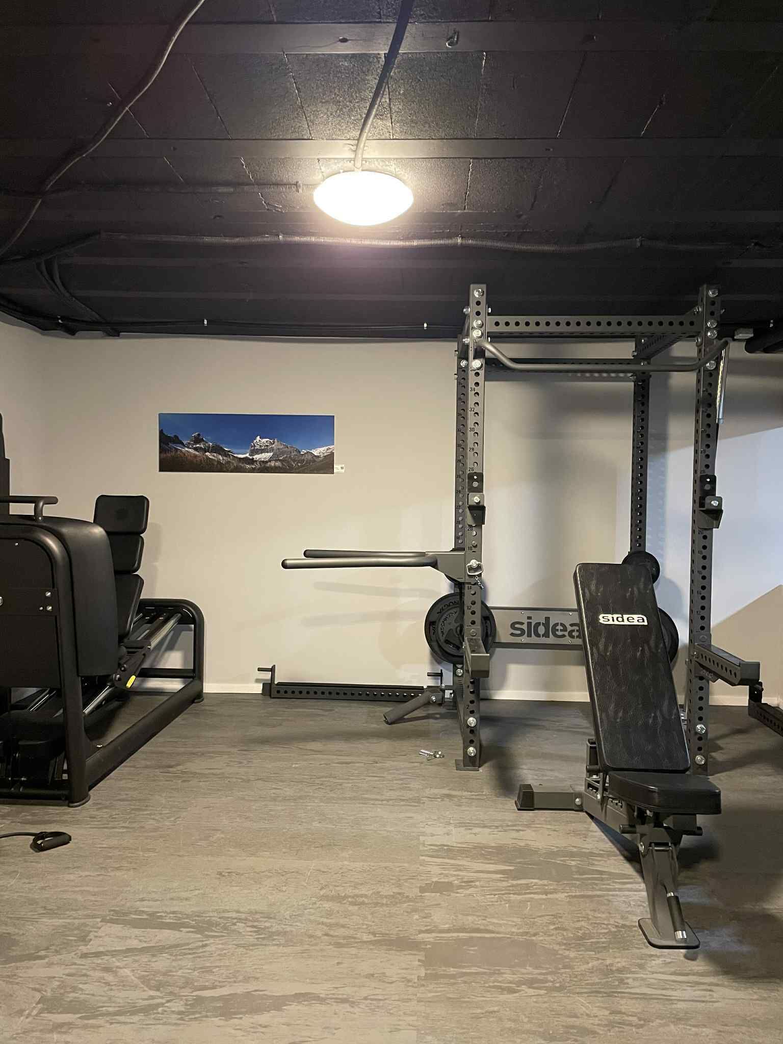 A gym with weightlifting equipment, a bench, and a wall-mounted picture.