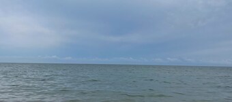 The Smile of Fregene A little house in an oasis of peace! Close to the beach