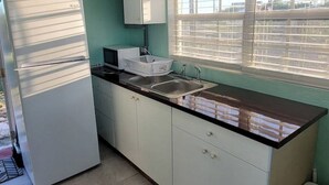 A compact kitchen with a refrigerator, sink, and window. - Centrally located 1 bedroom efficiency (georgetown)