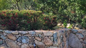 A stone wall with a water feature, a pool, and lush greenery in the background. - Hôtel confidentiel Le Grécale **** (Pianotolli-Caldarello)