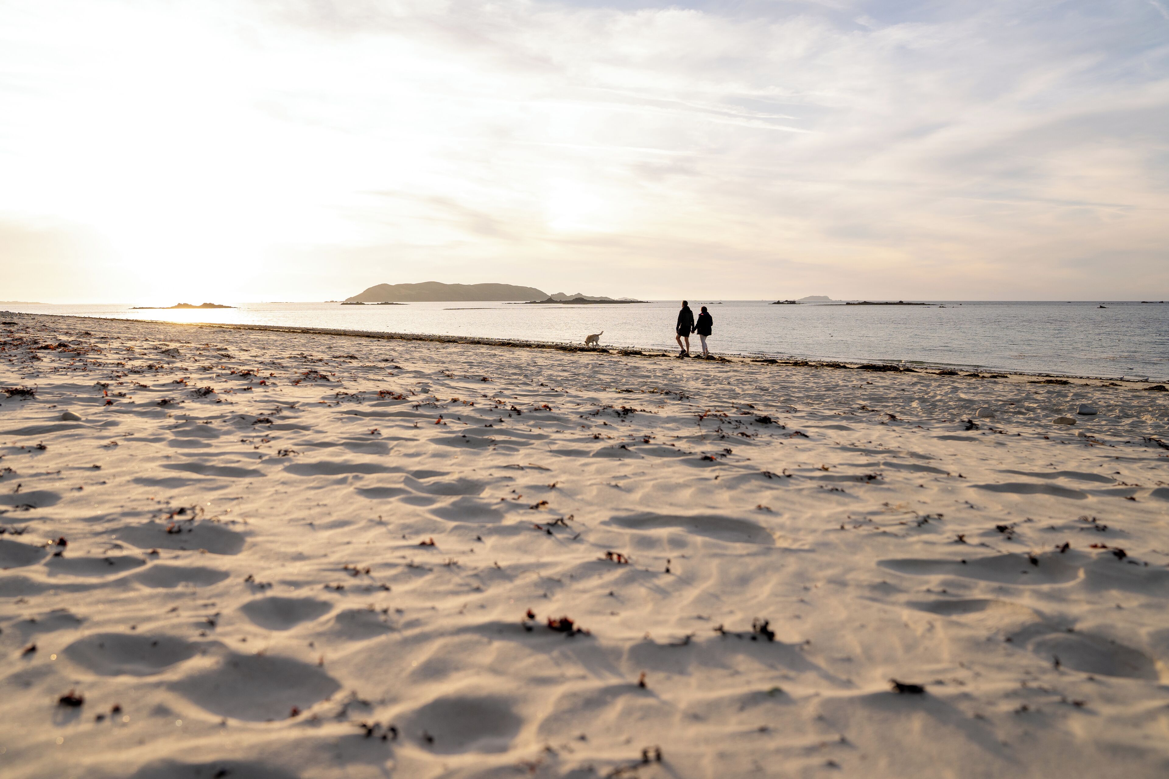 Una playa con arena y agua, dos personas caminando y un perro.