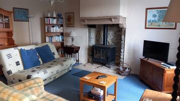 TV, fireplace, DVD player, books