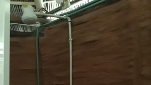 Una habitación con pared de madera, una tubería blanca y una manguera verde.