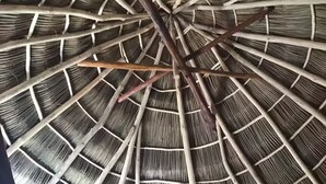 Una estructura con techo de paja y un entramado radial de vigas de madera.