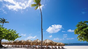 Una playa con sombrillas de paja y sillas de descanso, una palmera y el océano al fondo.