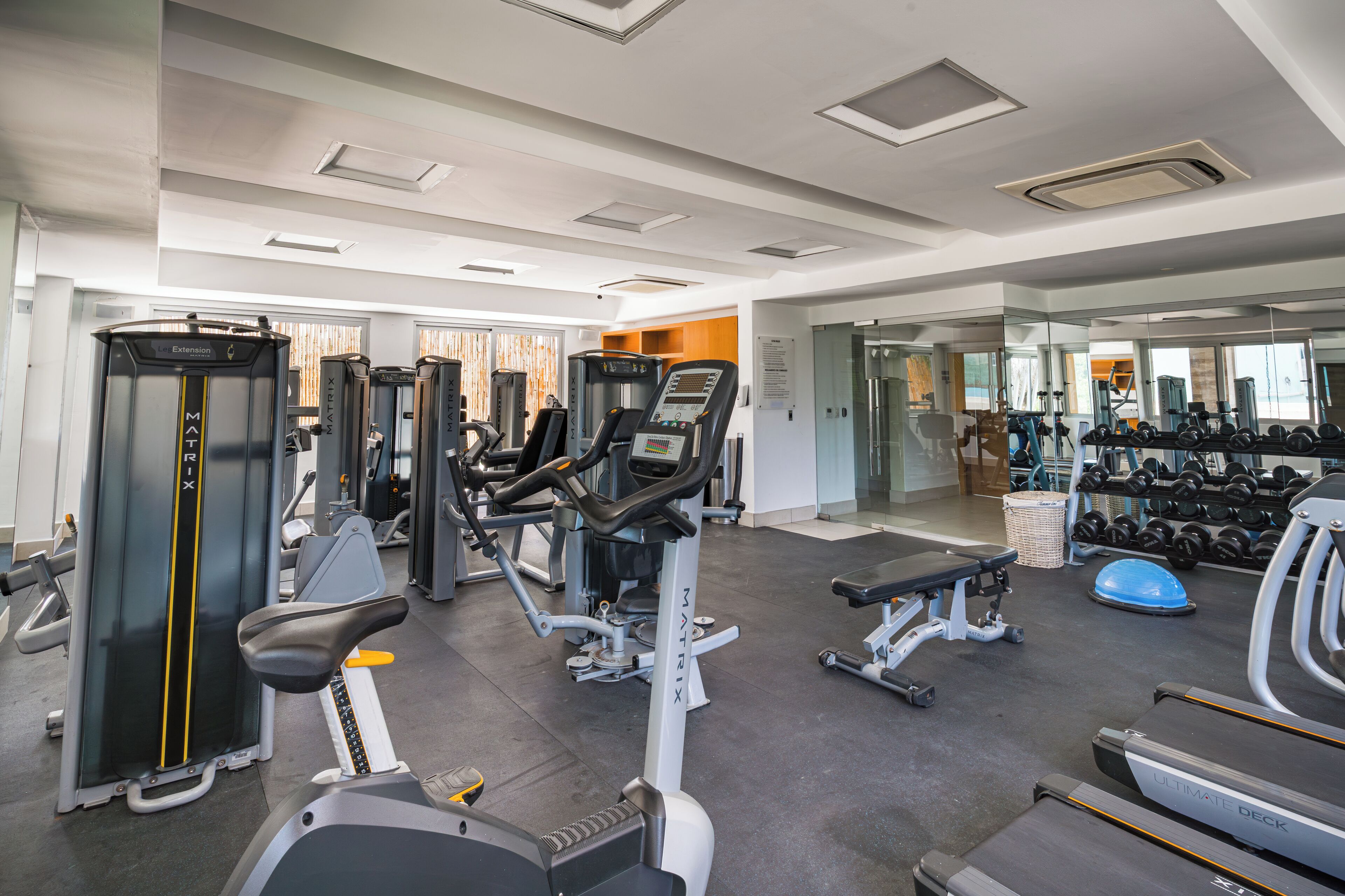 A gym with various exercise equipment, including treadmills, weight machines, and free weights.