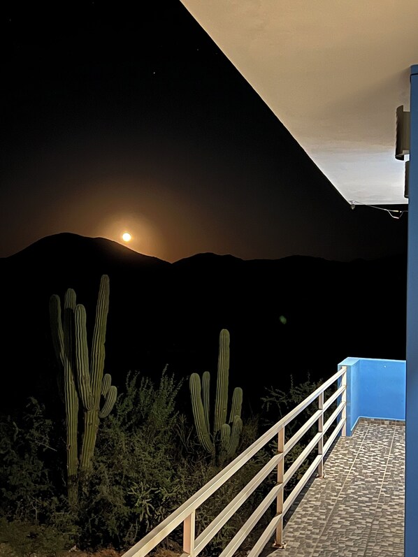 A night scene with a moonlit mountain backdrop, a cactus, and a balcony with a railing.