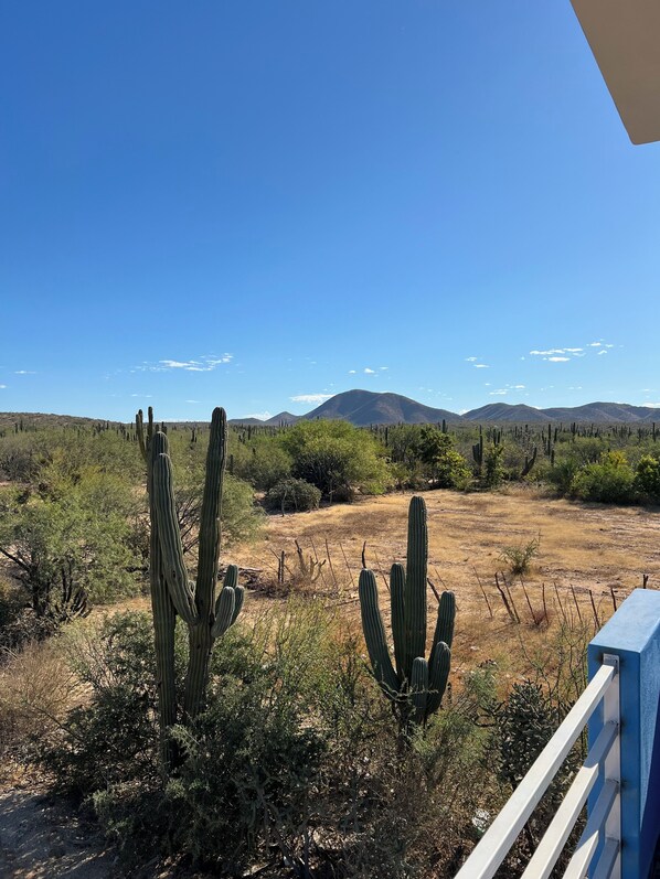 Blick von der Unterkunft