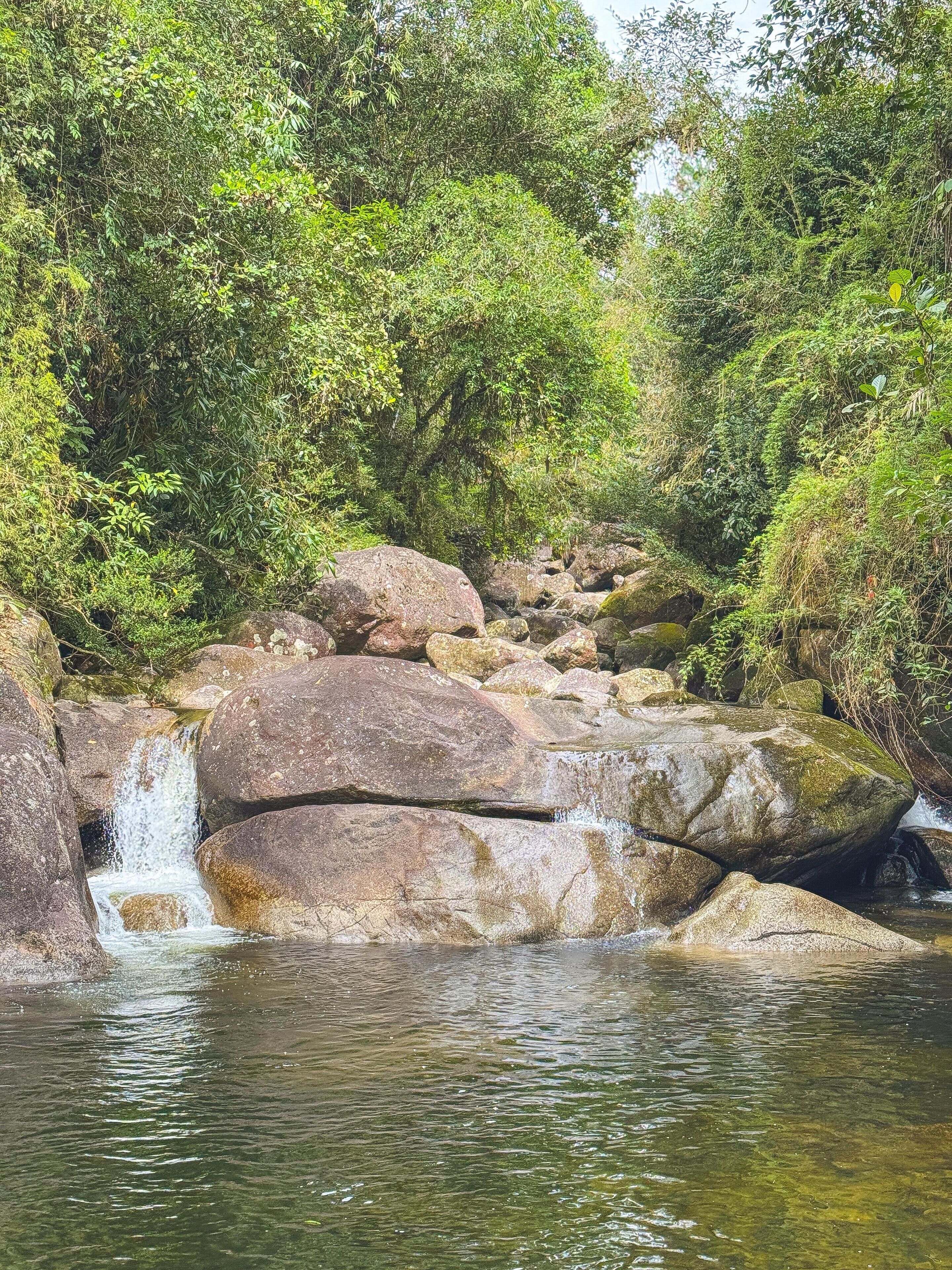 A natural landscape with a waterfall, rocks, and dense greenery.