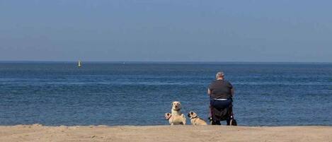 Spiaggia