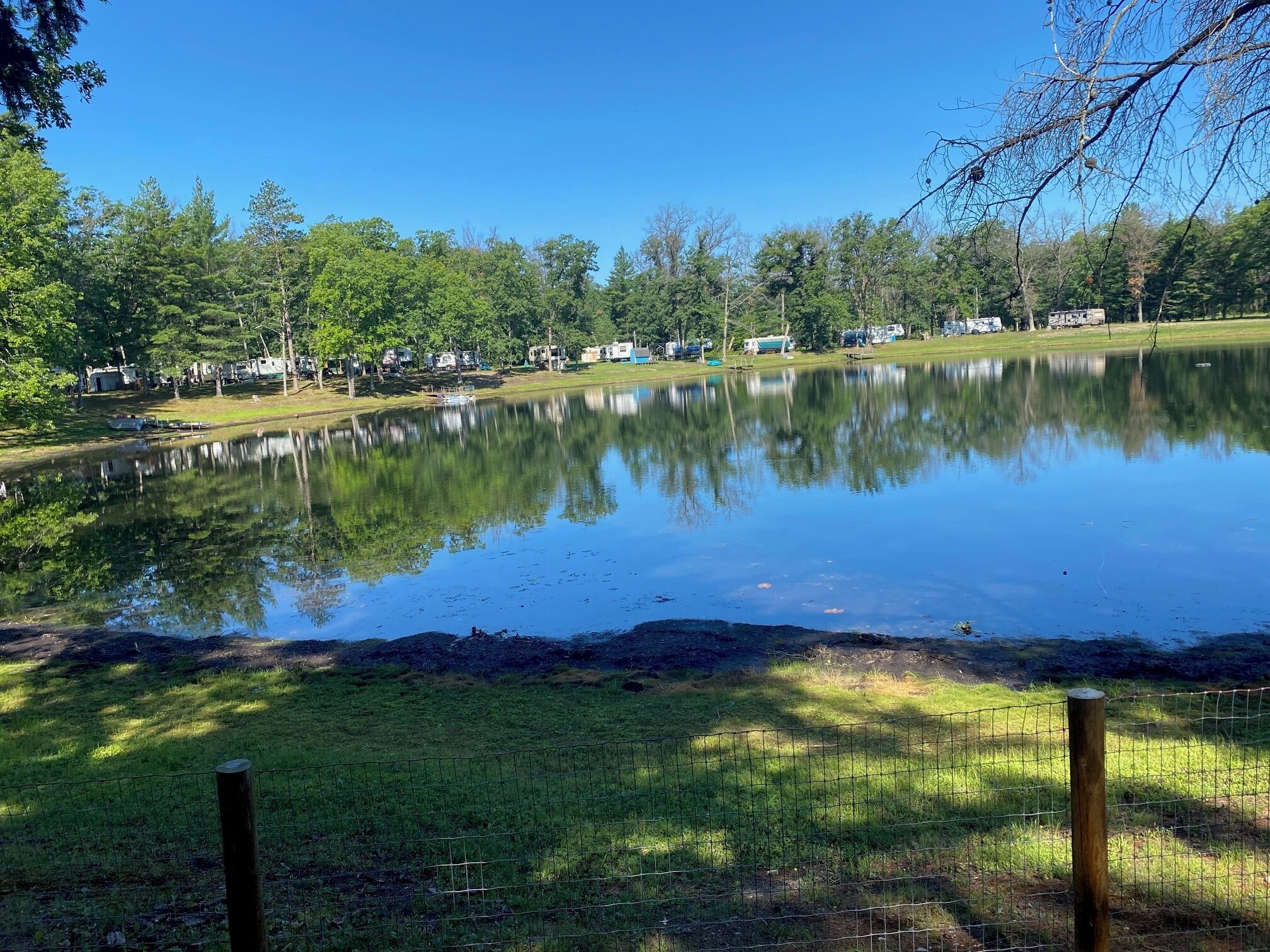 Un lago tranquilo que refleja árboles y un cielo despejado.