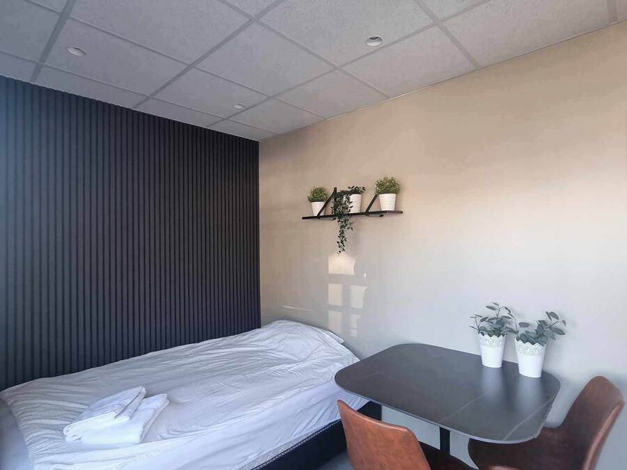 A compact room with a bed, a small table, two chairs, and a wall-mounted shelf with plants.