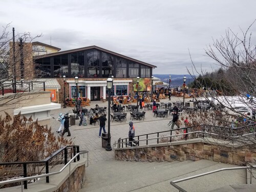 Serenity & Fun Cozy Pocono Cabin! Family Friendly Near Blue Mtn/ JF/ BB.  WiFi