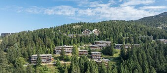 V du Bachat JOUBARBES A N°15 - ST6