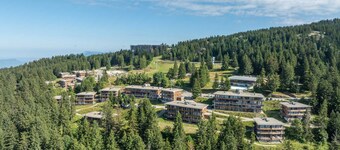 V du Bachat JOUBARBES A N°15 - ST6