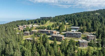 V du Bachat JOUBARBES A N°15 - ST6