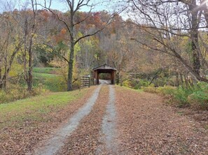 Miscellaneous - Covered Bridge + Tiny Home Bus on the water in RRG (Stanton)