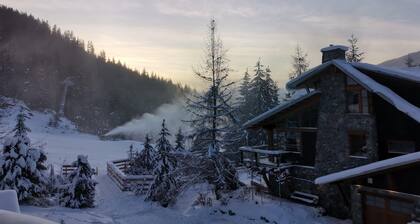 Whistler Ultimate Access. Ski out from your door on a private road.