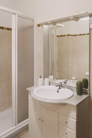 Shower, hair dryer, bidet, towels