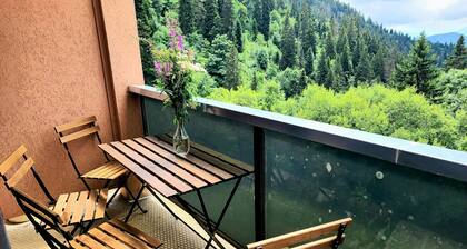 Le Vernon N 406 - ST5