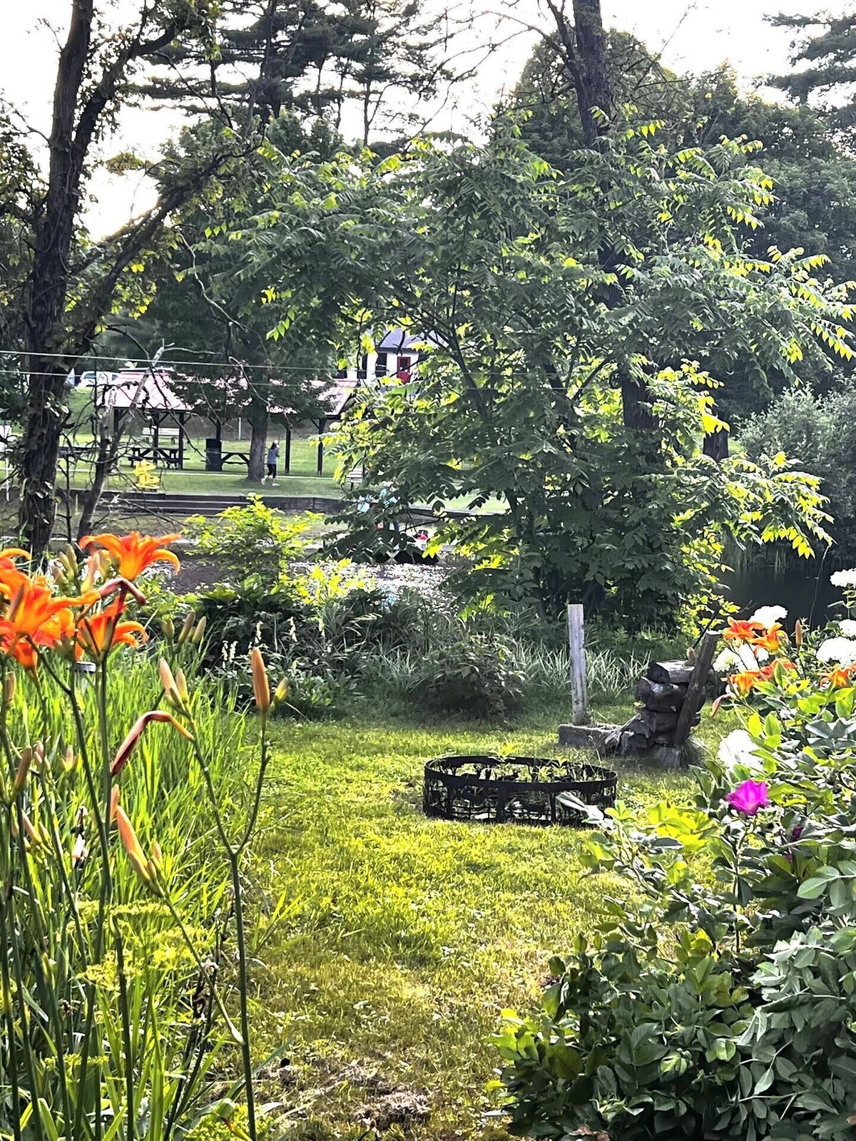 Imagen de perfil del propietario o de la propietaria