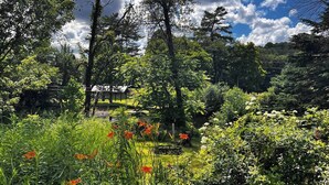 A lush garden with various plants and flowers, a wooden fence, and a clear blue sky with clouds.