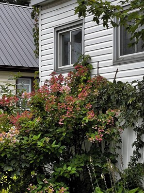 Exterior detail - Peaceful Riverside Park Cottage in the town of Bancroft
free parking /fireplace (Bancroft)