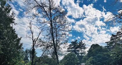 Peaceful Riverside Park Cottage in the town of Bancroft
free parking /fireplace