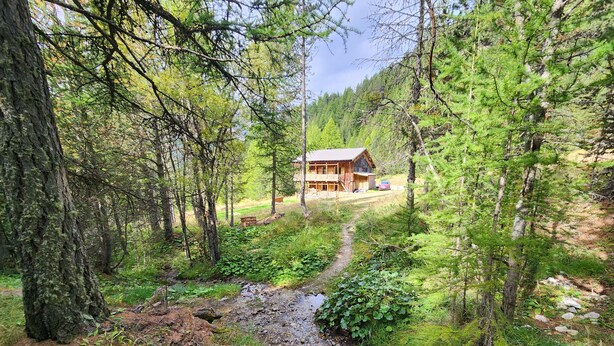 A cabin in a forest with a dirt path leading to it. - 100% RENOVATED FAMILY CHALET with view! (Arvieux)