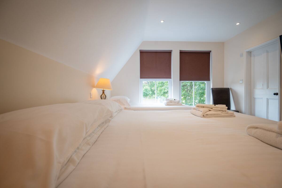 Economy Double Room, Ensuite (Brewery House Ely) | WiFi (free)