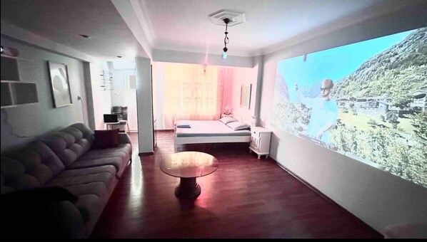 Smart TV, fireplace, video games, books