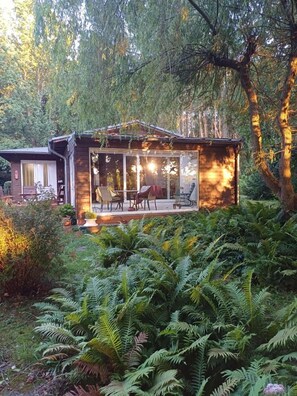 Une cabane moderne dotée d’un patio entièrement vitré, entourée d’une végétation luxuriante composée de fougères et d’arbres.