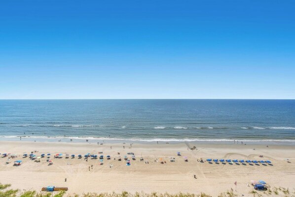 A beach with rows of umbrellas and beach chairs, a sandy shore, and the ocean in the background.