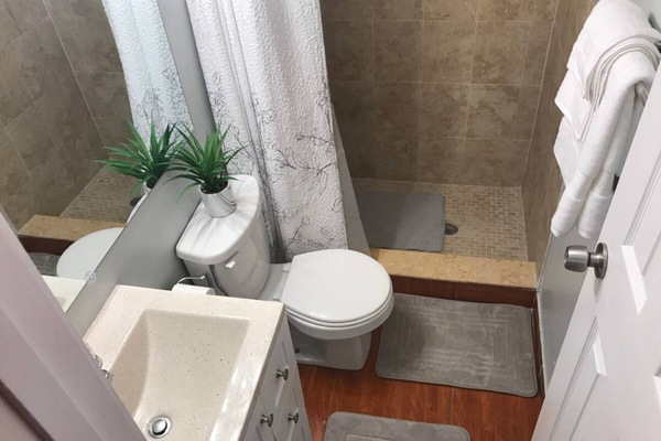 Hair dryer, towels, soap, shampoo