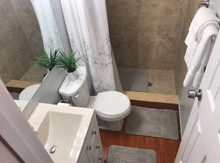 Hair dryer, towels, soap, shampoo. Charming studio in delightful Orlando with WiFi and AC