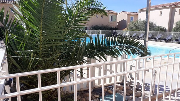 A swimming pool with a white fence, palm trees, and buildings in the background. - Under the Alpilles sun  (Mouriès)