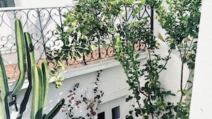 A courtyard with a white building, a tiled floor, and a potted plant. - Casa Saudade - Olhão, Algarve (Olhão)