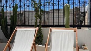 Two white canvas chairs with wooden frames on a balcony with a metal fence and a cactus in the background.