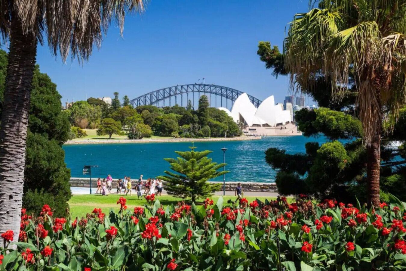 A scenic view of the Sydney Opera House and Harbour Bridge with a foreground of red flowers and a clear blue sky.
