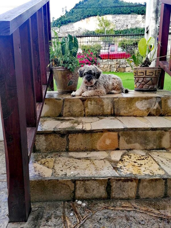 Enceinte de l’hébergement