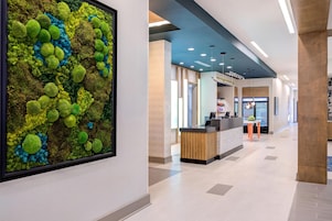 Un área de recepción moderna con un gran elemento decorativo de pared con musgo, un mostrador de recepción y un expositor refrigerado.