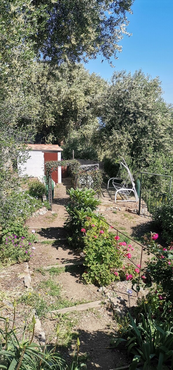 Property grounds - QUIET VILLAGE HOUSE WITH LARGE GARDEN OVERLOOKING ILE ROUSSE 3 BEDROOMS (Santa-Reparata-Di-Balagna)
