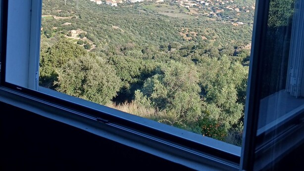 Vista desde una ventana sobre un pueblo costero con edificios y zonas verdes.