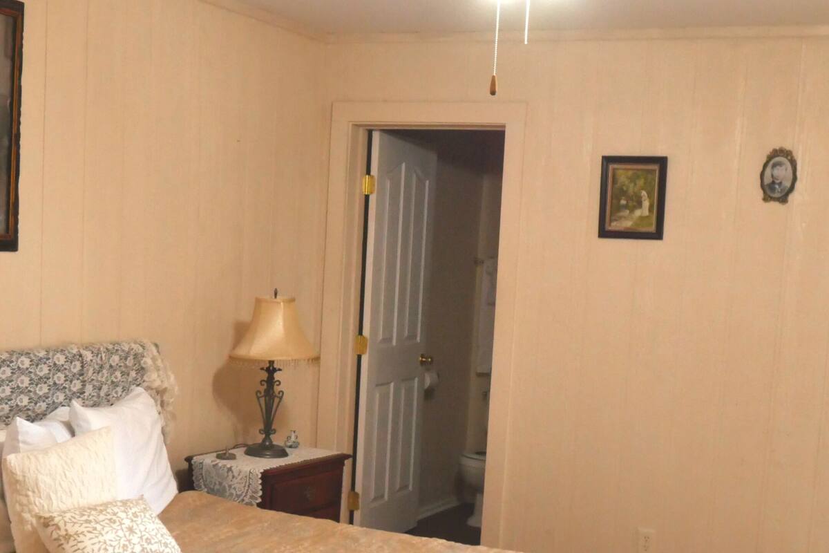 A bedroom with a bed, a nightstand, a lamp, a door, and a ceiling light.