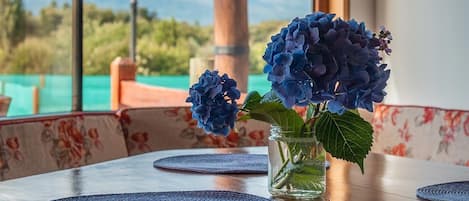 Superior Bungalow, Patio, Mountain View | Living area