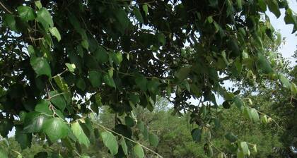 RV Spot #4 @ The Halles