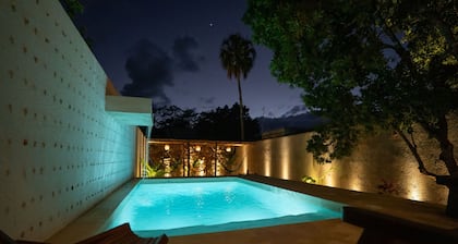 Luxe Oasis w/ private pool, waterfall, yoga & hammock garden. Sleeps 12. Walk Downtown.
