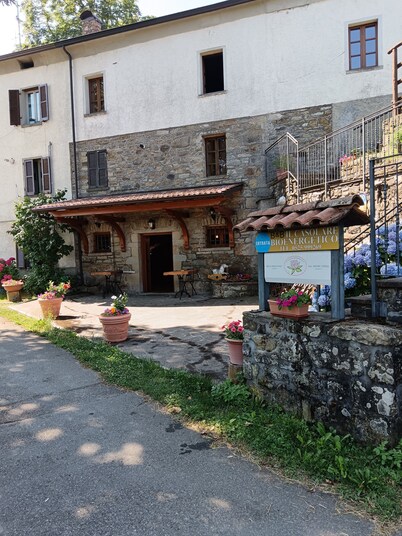 Ideal B&B for relaxing families, hiking, biking and holistic groups.