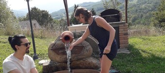 Ideal B&B for relaxing families, hiking, biking and holistic groups.