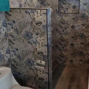 Regadera, toallas, jabón, shampoo 